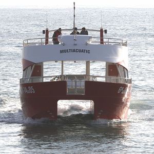 bateau promenade catamaran / in-bord