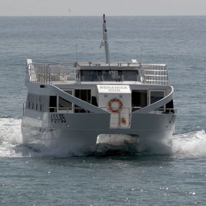 bateau promenade catamaran / in-bord
