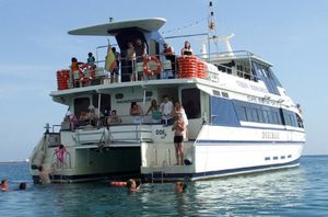 bateau promenade catamaran / in-bord