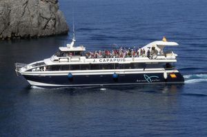 navire à passagers pour excursion touristique / catamaran