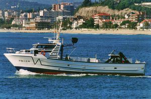 bateau de pêche professionnelle / in-bord