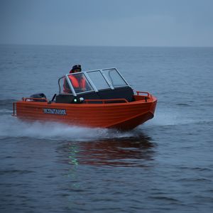 runabout hors-bord / bow-rider / à double console / de pêche sportive