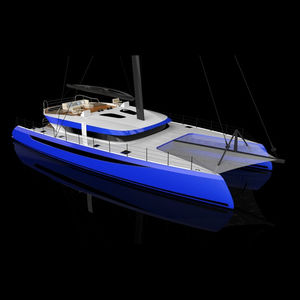 catamaran en carbone / de croisière / de course-croisière / cockpit ouvert