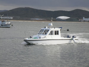 cabin-cruiser catamaran / hors-bord / hard-top / max. 8 personnes