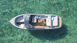 runabout in-bord / électrique / bow-rider / de sport