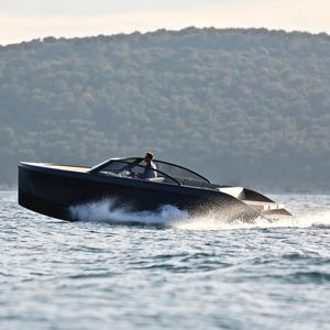runabout in-bord / hors-bord / électrique / max. 12 personnes