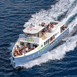 bateau à passagers / hybride diesel-électrique / en aluminium