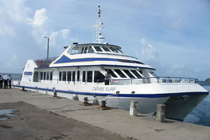 navire à passagers pour excursion touristique / catamaran