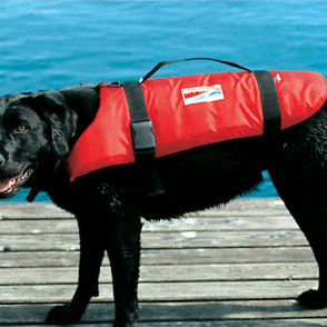 gilet d'aide &agrave; la flottabilit&eacute; pour animal domestique CAT + DOG Grabner