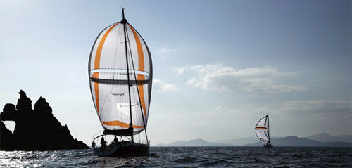 voile de course-croisi&egrave;re : spinnaker (type parasail) PARASAIL ISTEC