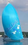 Voile de course-croisi�re : spinnaker asym�trique VECTOR  Neilpryde Sails