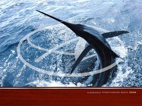 Albemarle Boats 2009 Full Line Product Brochure