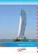 FastCat 445 Green Motion