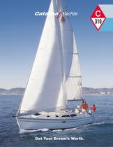 Catalina 310