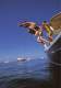 Dossier Presse 2009 - Jeanneau - Sailboats