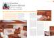 Le magazine. Automne/hiver 2007/2008 n�5 - Jeanneau - Sailboats