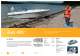 Terhi Catalogue 20009 - Terhi