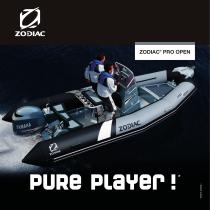 PRO OPEN 2013