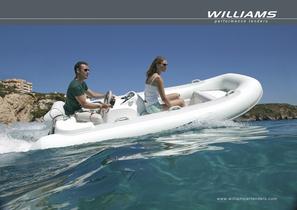 Williams 2009