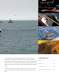 SIMRAD CATALOGUE