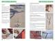 C-Shape Kite guide d'utilisation - Naish Kiteboarding