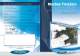Catalogue MaxSea TimeZero 