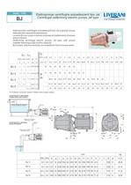 BJ ac motor