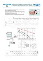 BJ dc motor