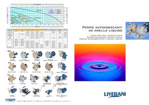 Pompe autoamorcantes a anneau liquide