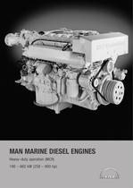 Main marine engines: Heavy duty