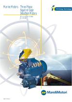 Three Phase Squirrel Cage Induction Motors