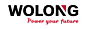 Wolong Electric Group