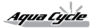 AMERICAN PLEASURE PRODUCTS, INC