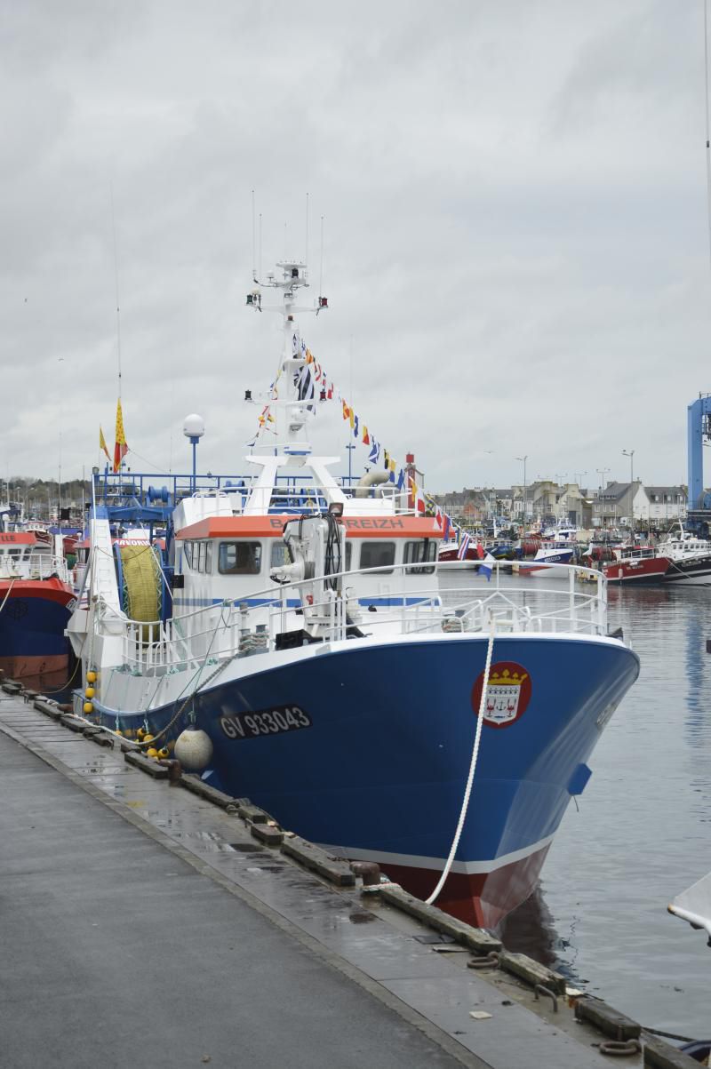 Kit De Construction Bateau Amiral Playtastic - Modélisme En Bois à Peindre, Plus De 70 Pièces, à Partir De 8 Ans