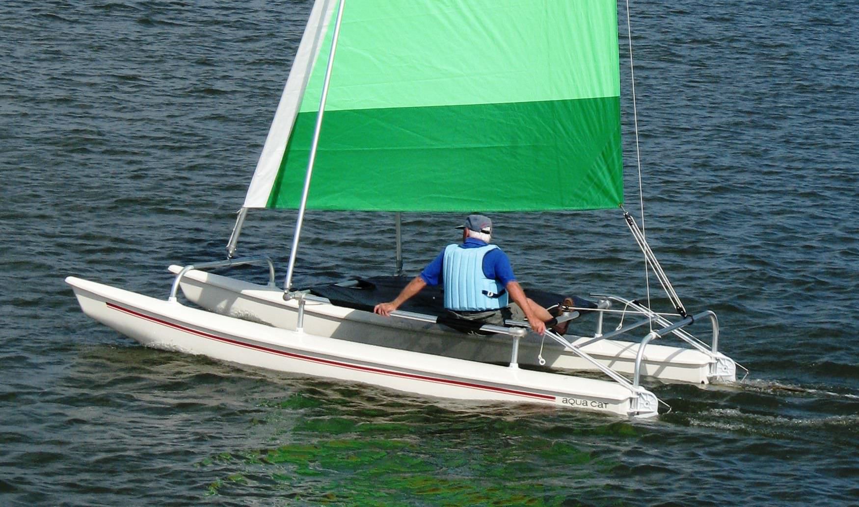 cat on catamaran