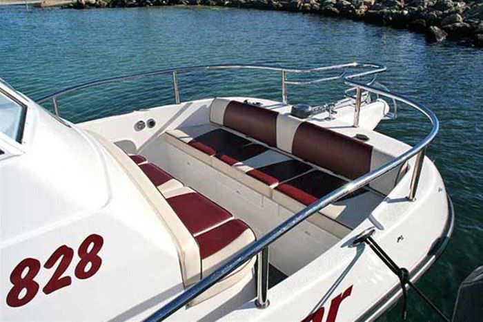 bateau de pêche-croisière catamaran - 8000 westerner