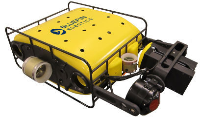 Caisson étanche Bluefin Pour Sony – Pour Pièces Ou Projet Photo Sous-marin (AS IS)