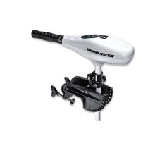 Moteur hors-bord / électrique / plaisance