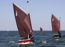 Monocoque / traditionnel / daysailer / cockpit...