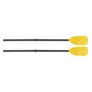 aviron pour aviron
