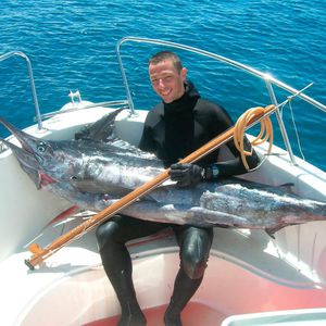 arbalète de chasse sous-marine en teck 1