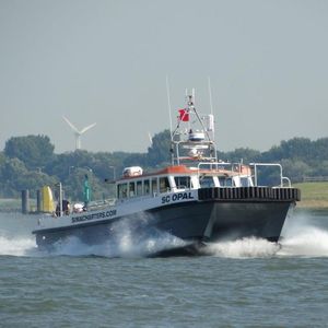 pilotine