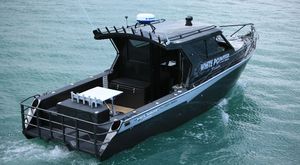 cabin-cruiser in-bord