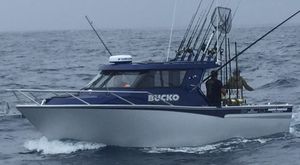 bateau de pêche professionnelle