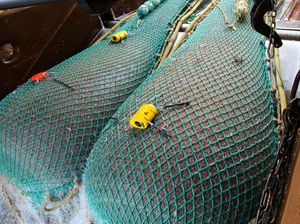 filet de pêche 1