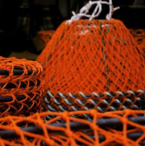 casier pour crabe
