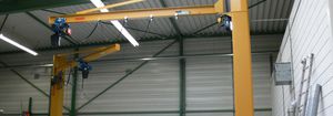 grue pour chantier naval / potence pivotante