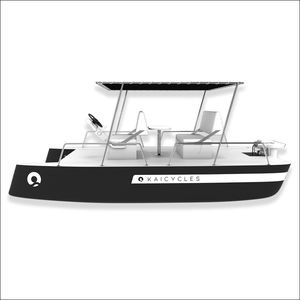 barque catamaran