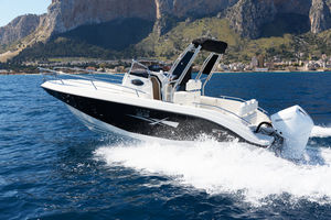 cabin-cruiser hors-bord