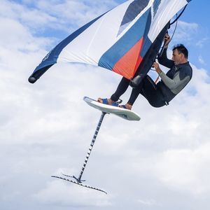 foil wing